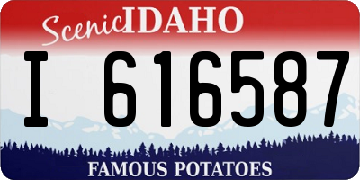 ID license plate I616587