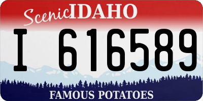 ID license plate I616589