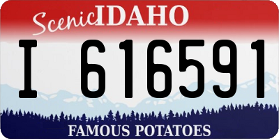 ID license plate I616591