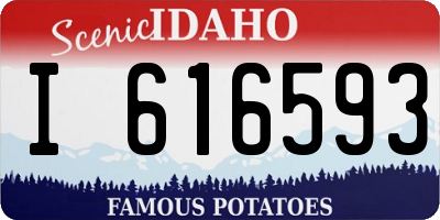 ID license plate I616593
