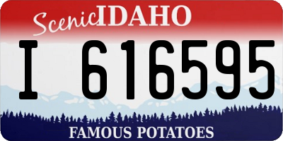 ID license plate I616595