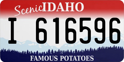ID license plate I616596