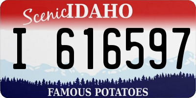 ID license plate I616597