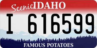 ID license plate I616599