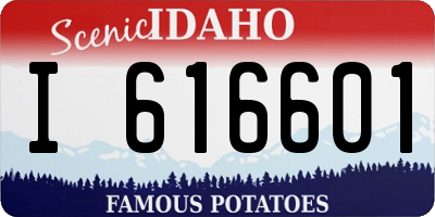 ID license plate I616601
