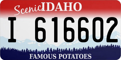 ID license plate I616602