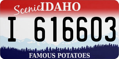 ID license plate I616603