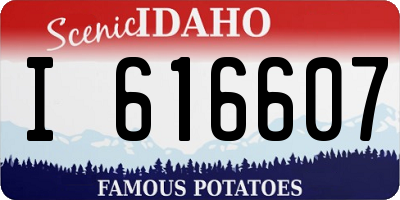 ID license plate I616607