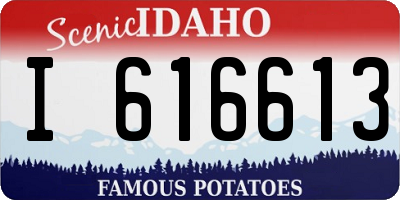 ID license plate I616613