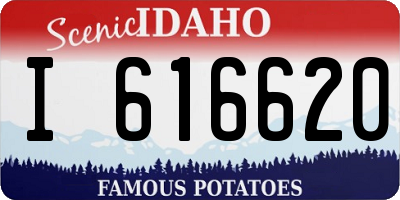 ID license plate I616620