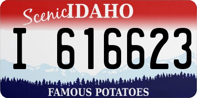 ID license plate I616623