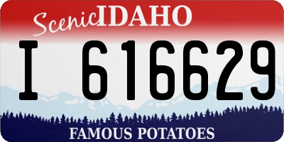 ID license plate I616629
