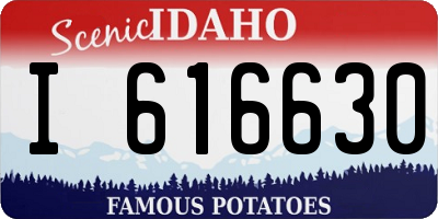 ID license plate I616630