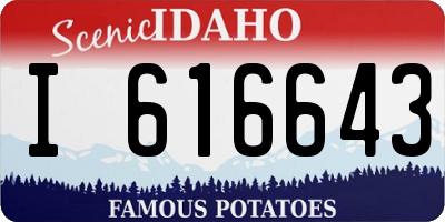 ID license plate I616643