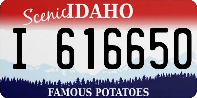 ID license plate I616650
