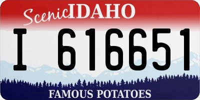 ID license plate I616651