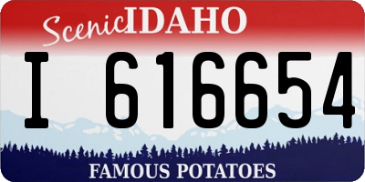 ID license plate I616654