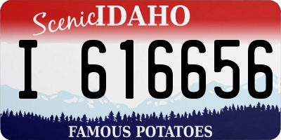 ID license plate I616656