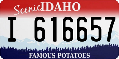 ID license plate I616657