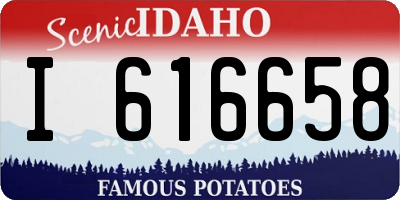 ID license plate I616658