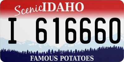 ID license plate I616660