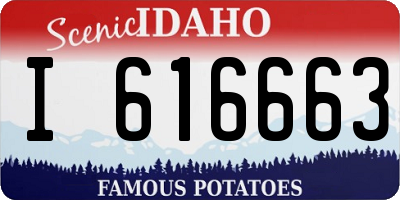 ID license plate I616663
