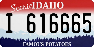 ID license plate I616665