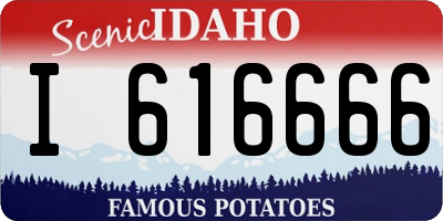 ID license plate I616666