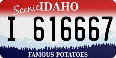 ID license plate I616667