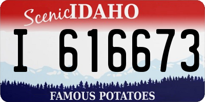 ID license plate I616673