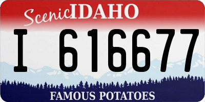 ID license plate I616677