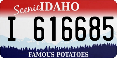 ID license plate I616685