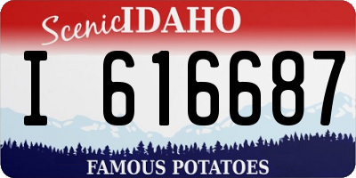 ID license plate I616687