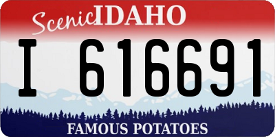 ID license plate I616691