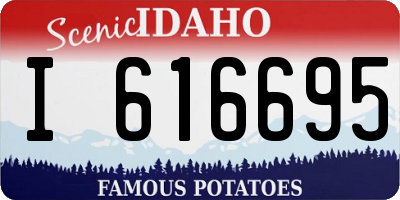 ID license plate I616695