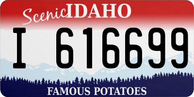 ID license plate I616699