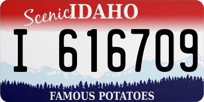 ID license plate I616709