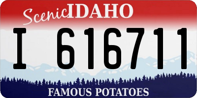 ID license plate I616711