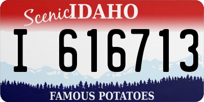 ID license plate I616713
