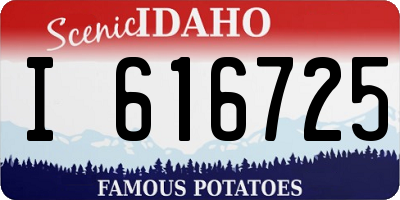 ID license plate I616725