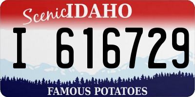 ID license plate I616729