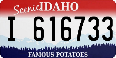 ID license plate I616733