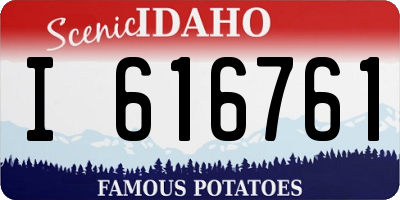 ID license plate I616761