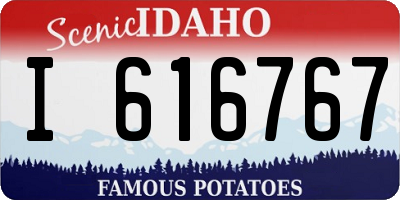 ID license plate I616767