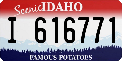 ID license plate I616771