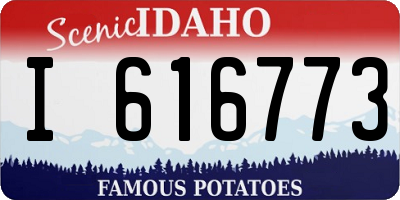 ID license plate I616773