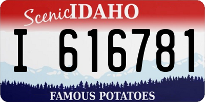 ID license plate I616781