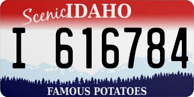 ID license plate I616784