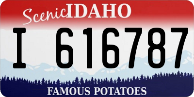 ID license plate I616787