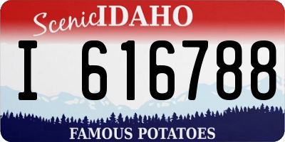 ID license plate I616788